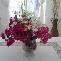 Maria Ines Da Silva Fanti